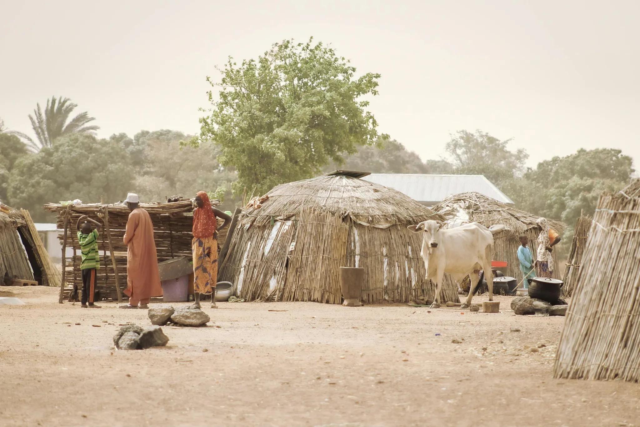 A Tribal Village with People Standing near Their Huts and a Cow Walking Around the Village