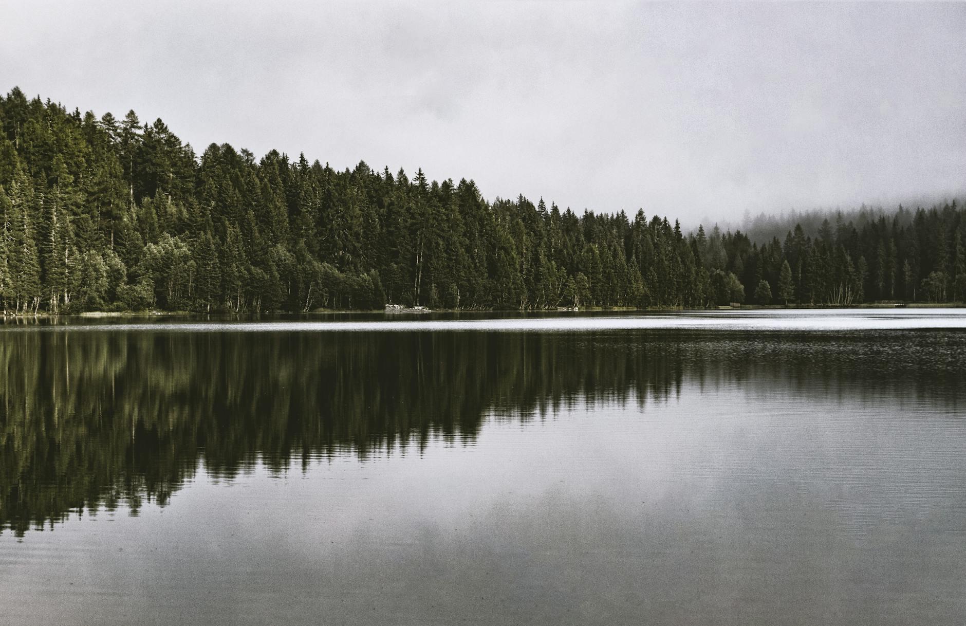 A tranquil lake surrounded by a dense forest, with the trees' reflection mirrored on the calm water surface under an overcast sky.