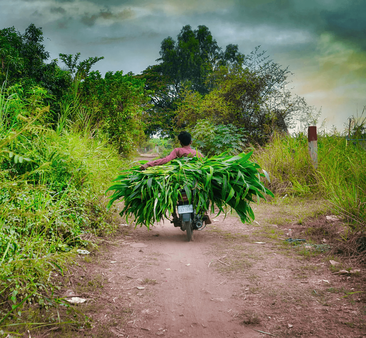 Man in red shirt riding motorcycle on dirt road during daytime